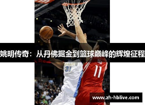 姚明传奇：从丹佛掘金到篮球巅峰的辉煌征程