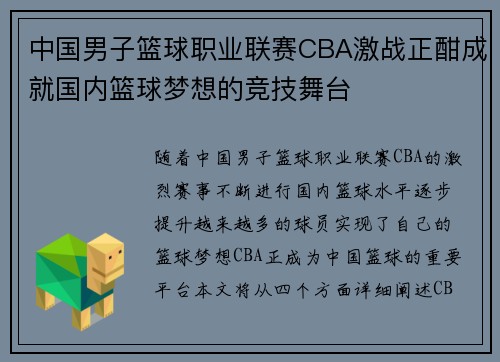 中国男子篮球职业联赛CBA激战正酣成就国内篮球梦想的竞技舞台